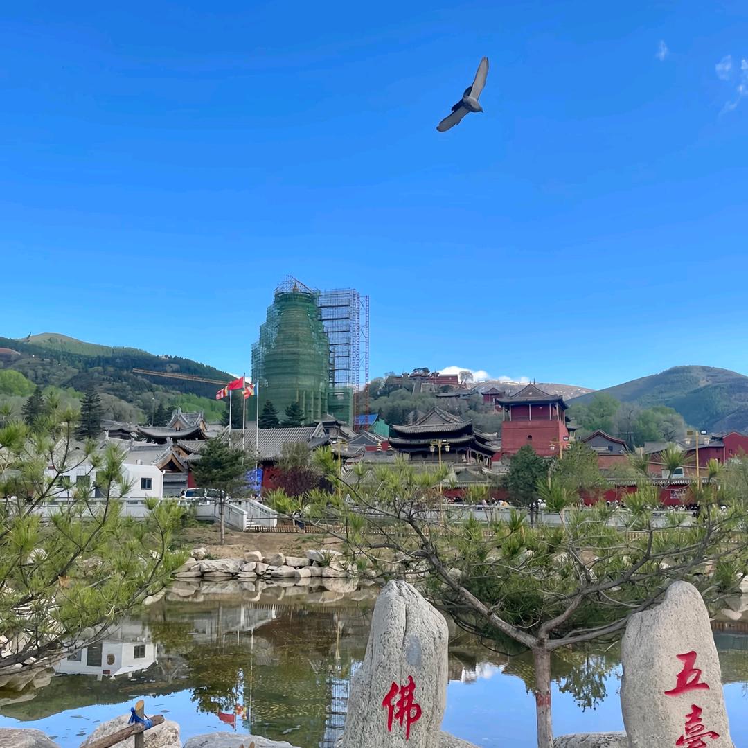 五台山小成师弟