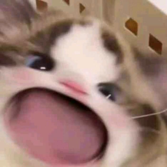 解压之家