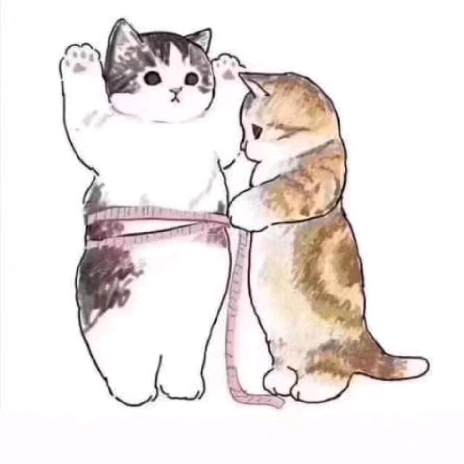 亳州，辉哥