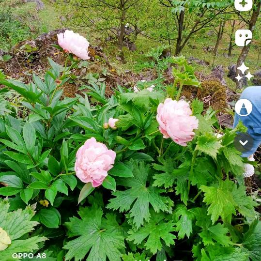 人不累心累＜谭＞