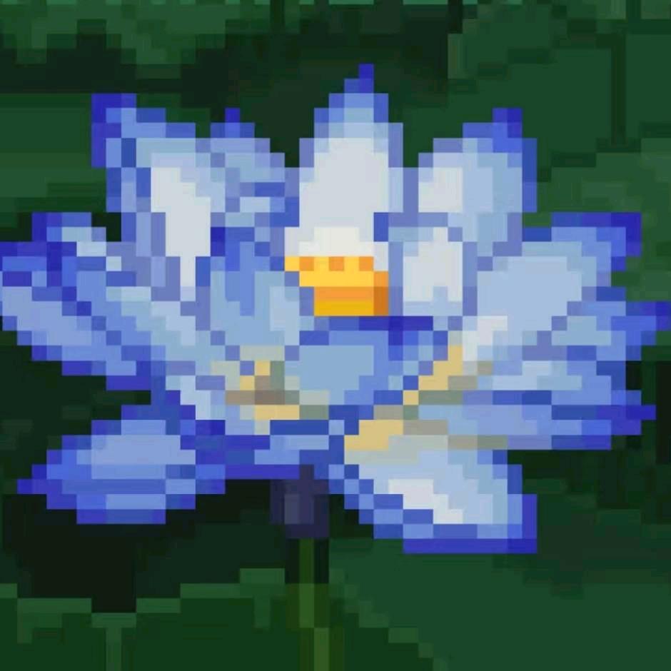 什么啊什么啊🤔