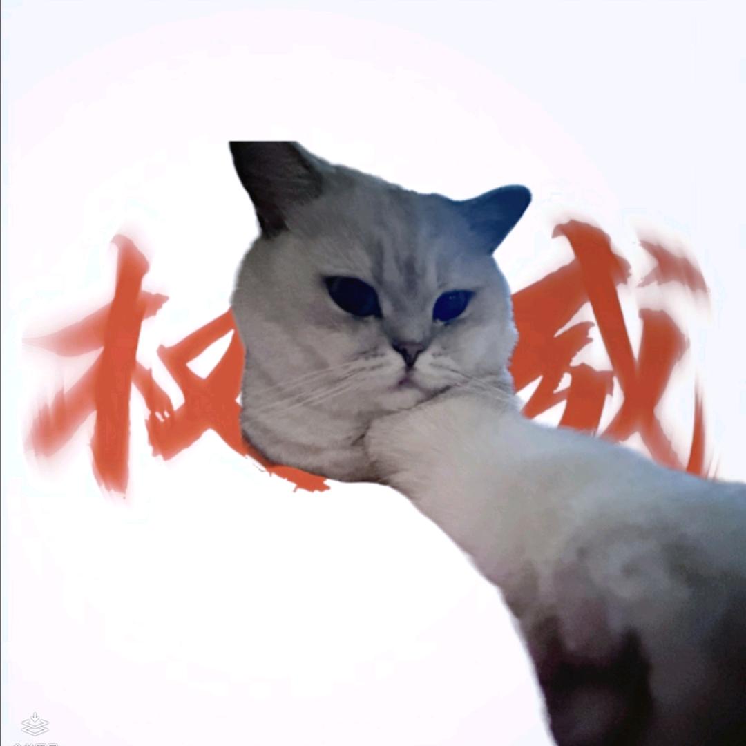 星之愿