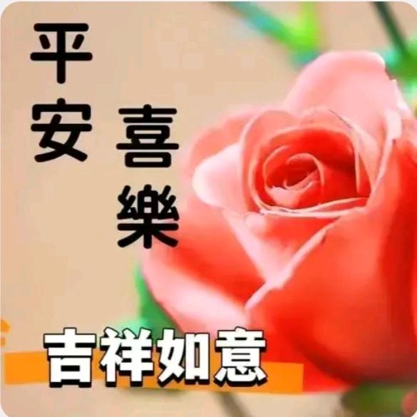 大大怪将军🇨🇳