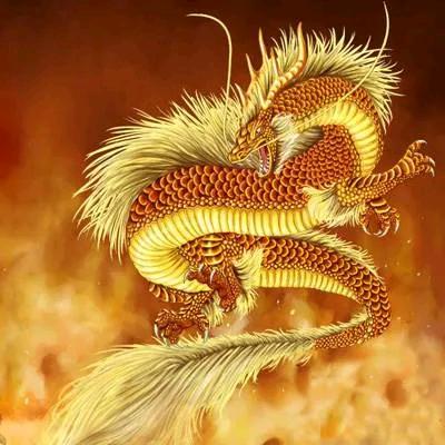 星辰追梦