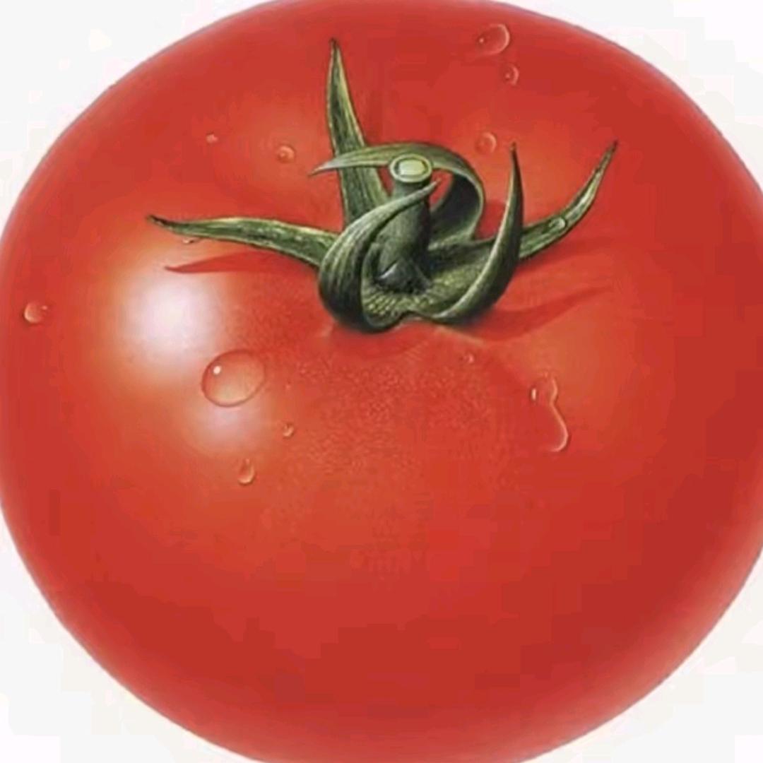 NANNAN🍅
