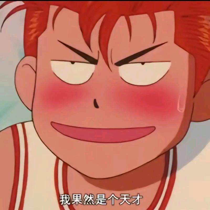 一只大马猴🐒