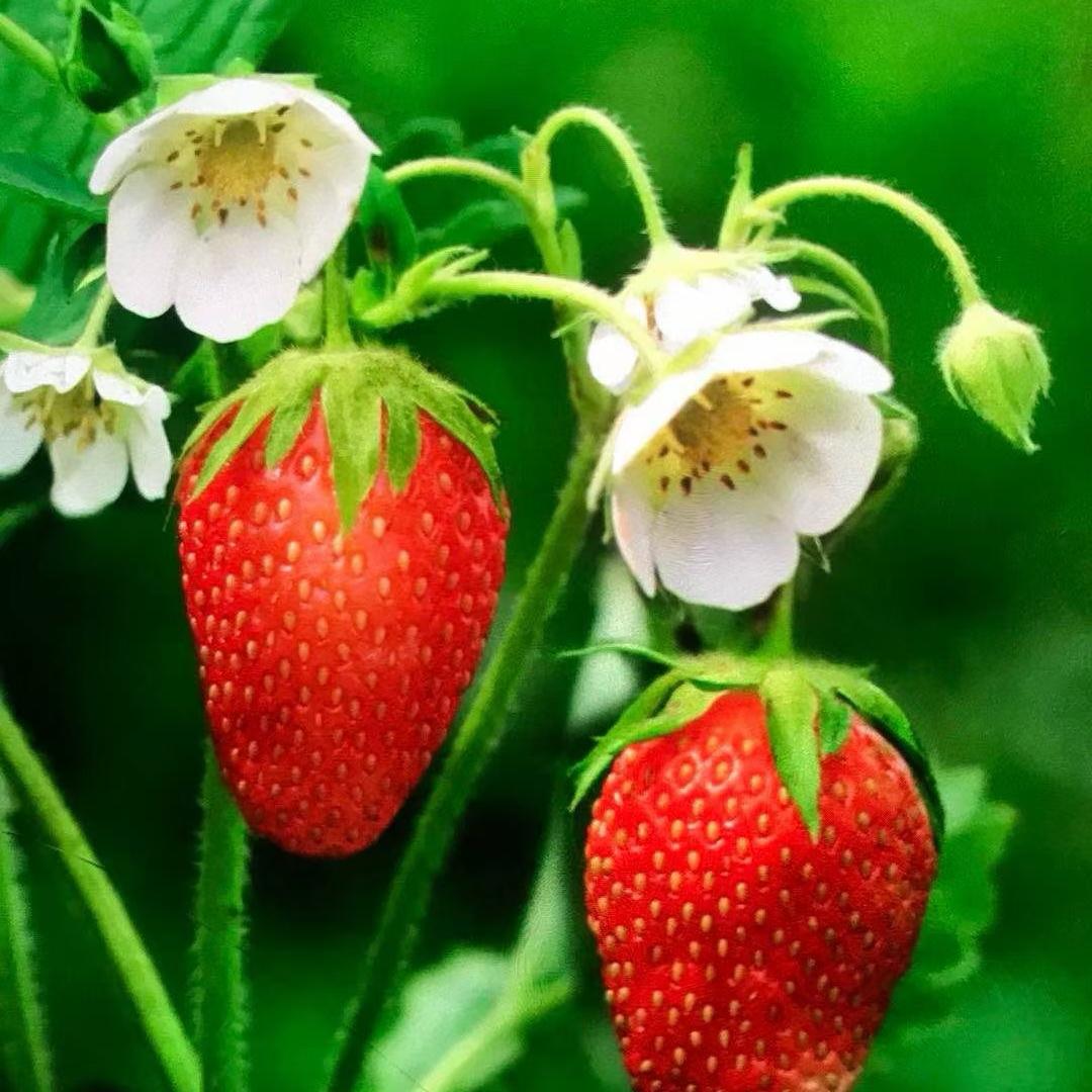 八仙过海，各显神通