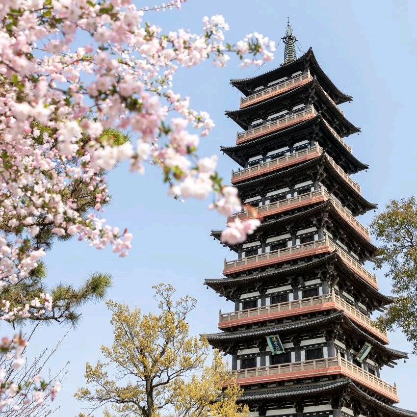 旅游者V