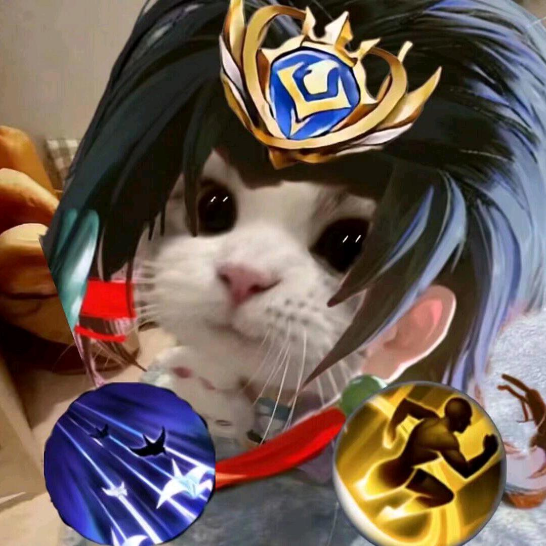 练镜