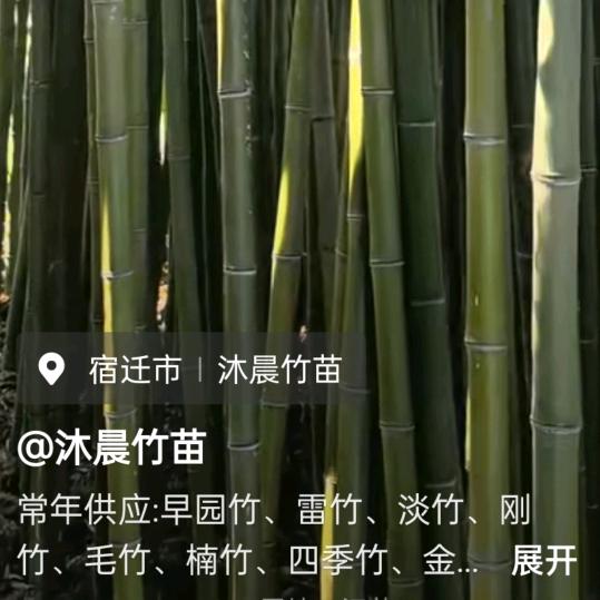 直供 竹苗
