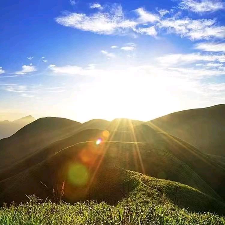 圣缘之道（德善阁）风生水起