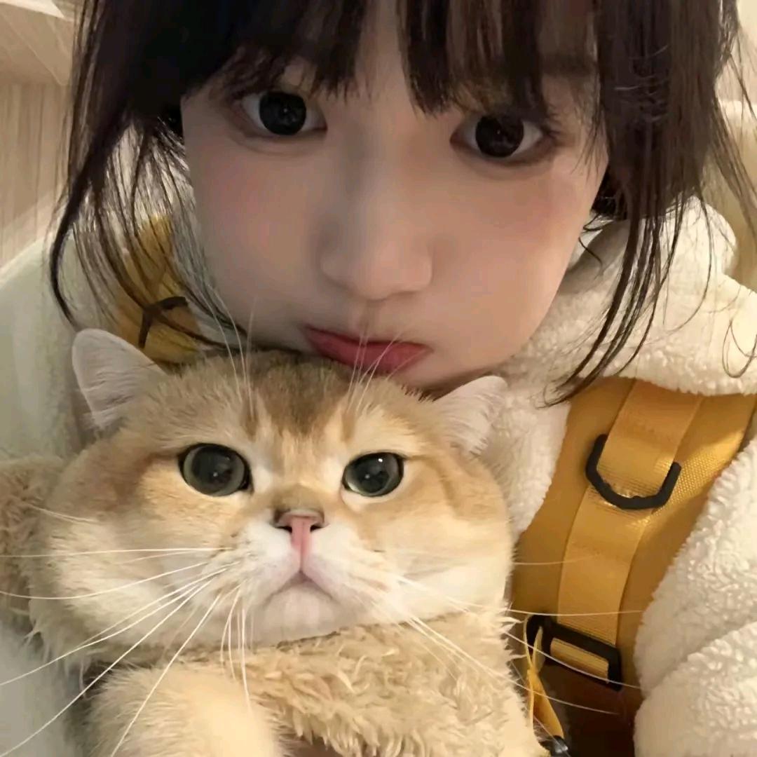 Z～zz