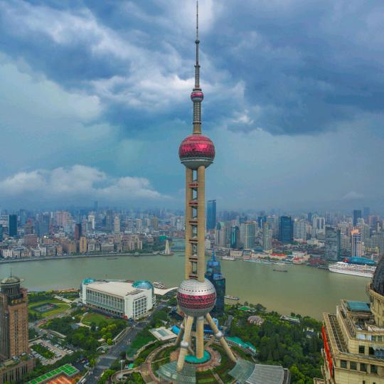 阳阳
