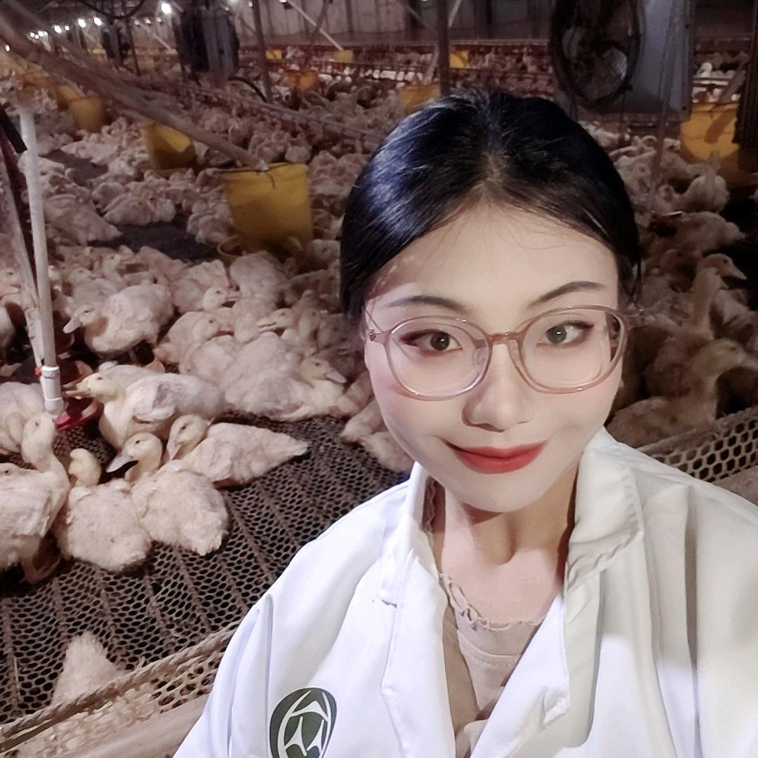 众跃 肉鸭健康养殖 王老师