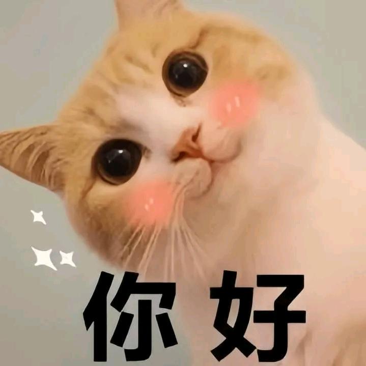程先生诶