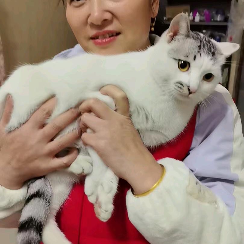 刘宽斌
