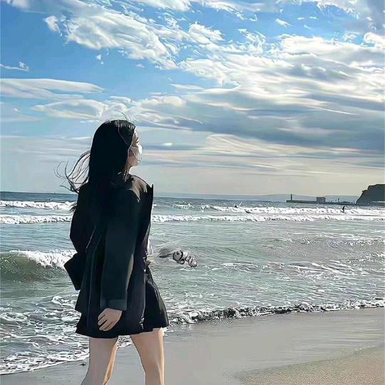 雁南飞