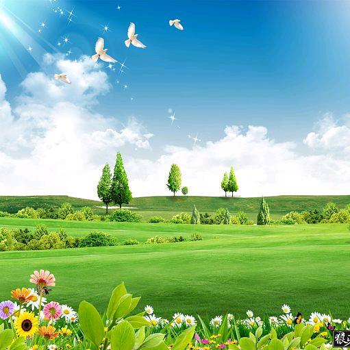 ✨✨感恩遇见✨✨