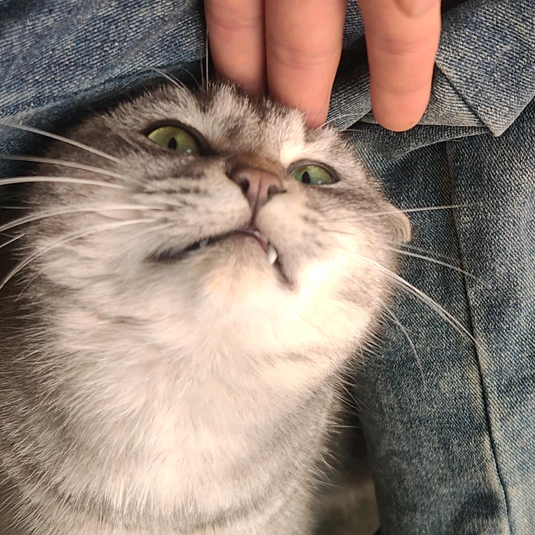 明安O_o