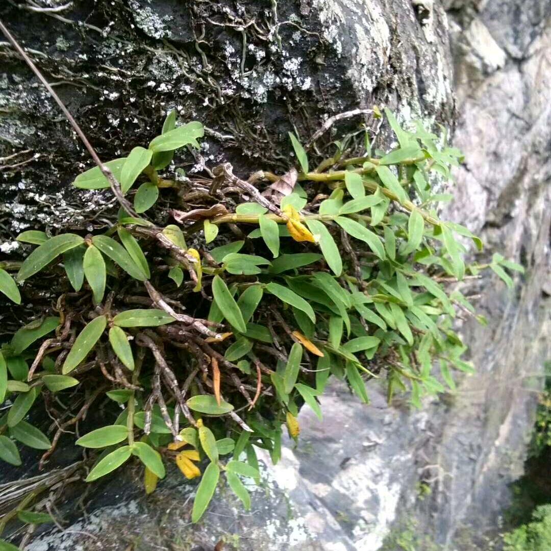 泪湿了曾经