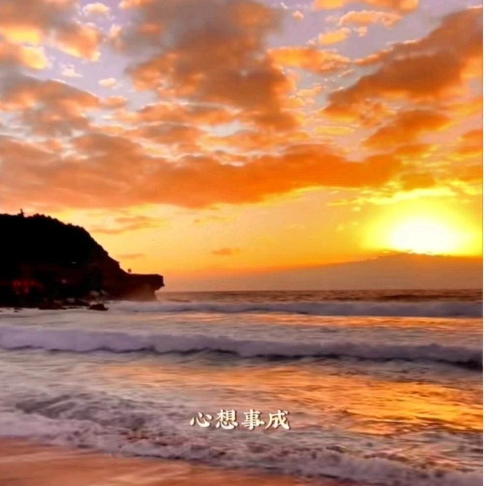沉木的仓仓