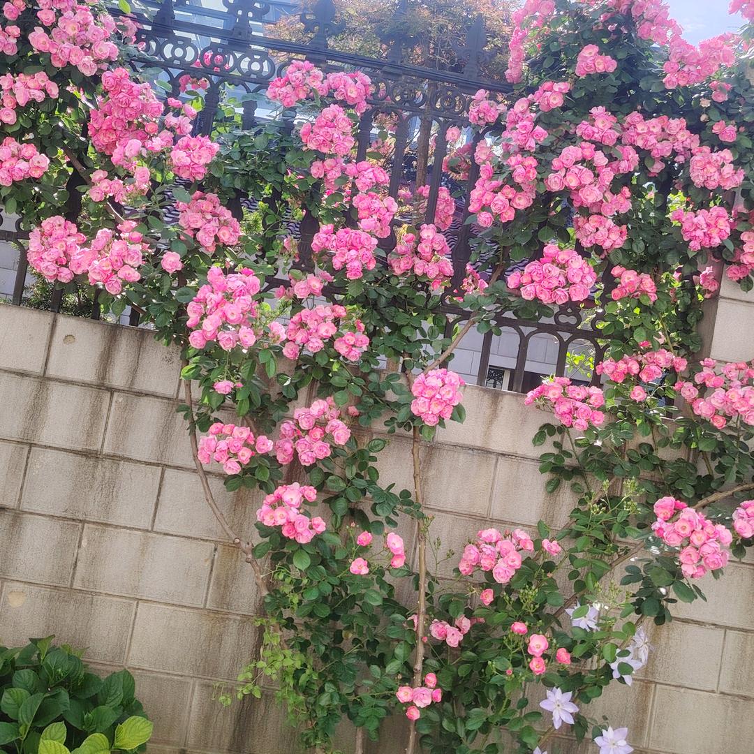 开心美好的一天