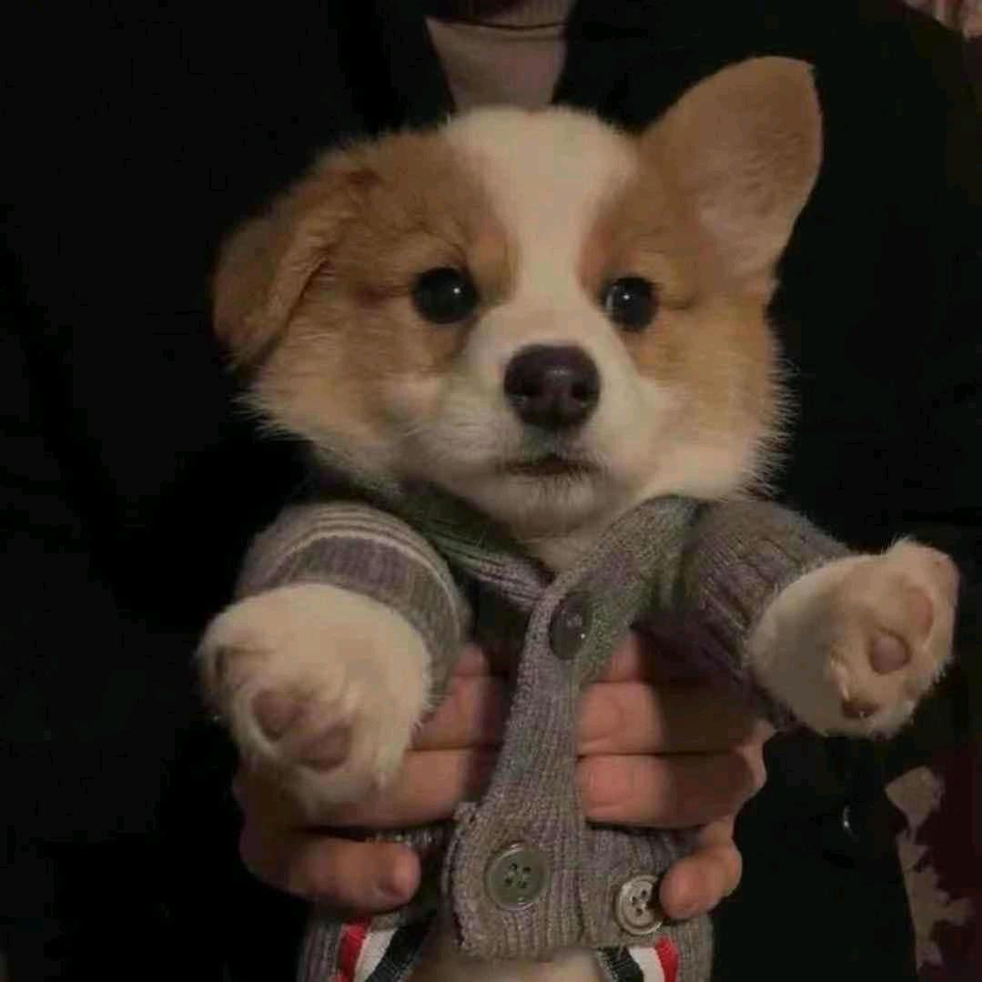 小林