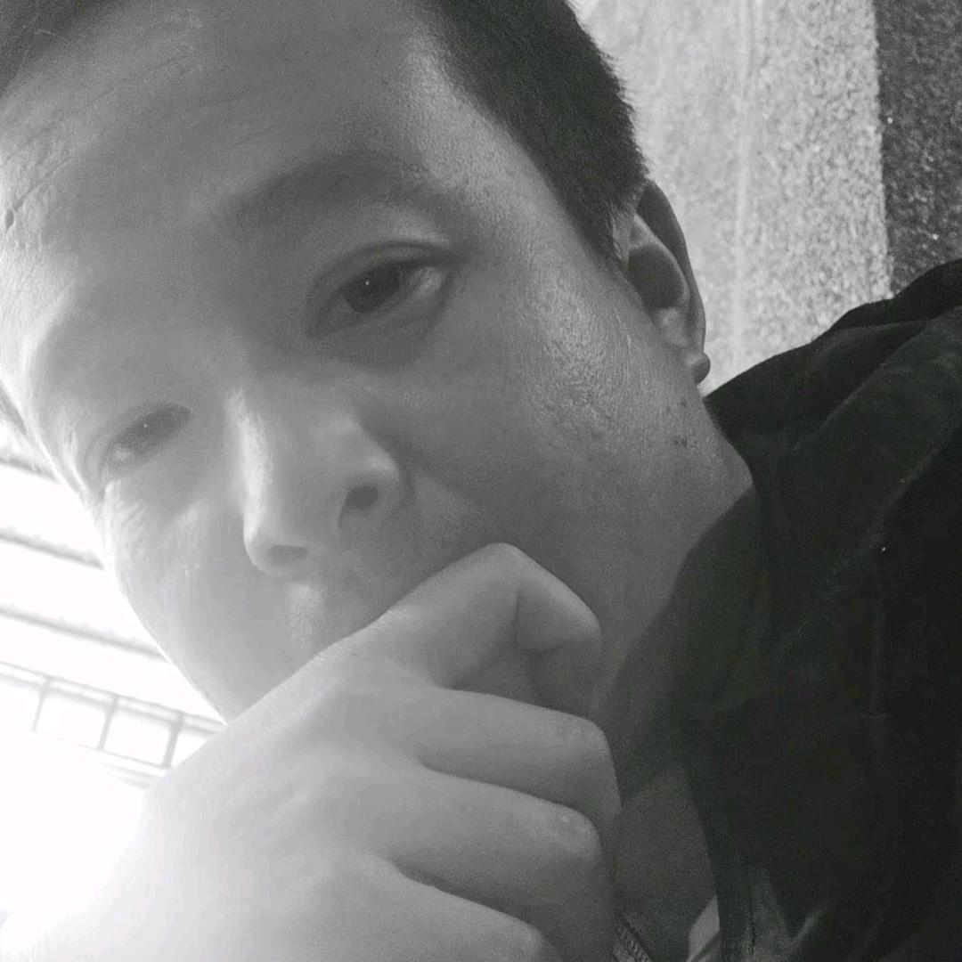 我姓杨，却扬不起爱你的风帆