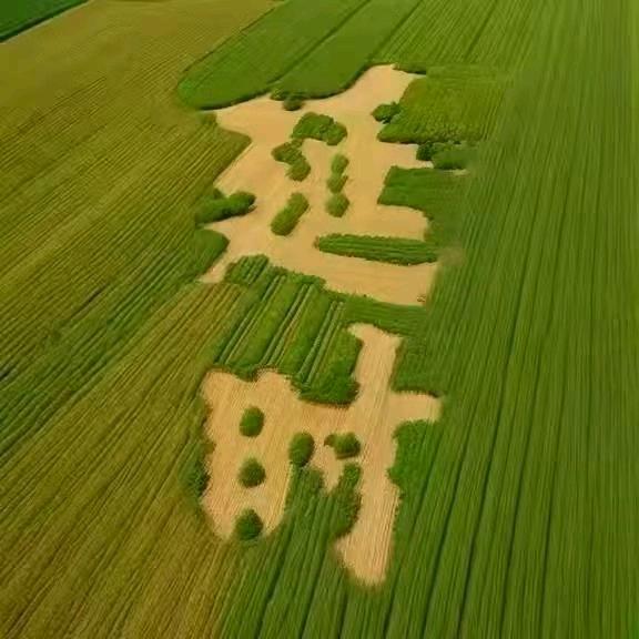 甜心宝贝