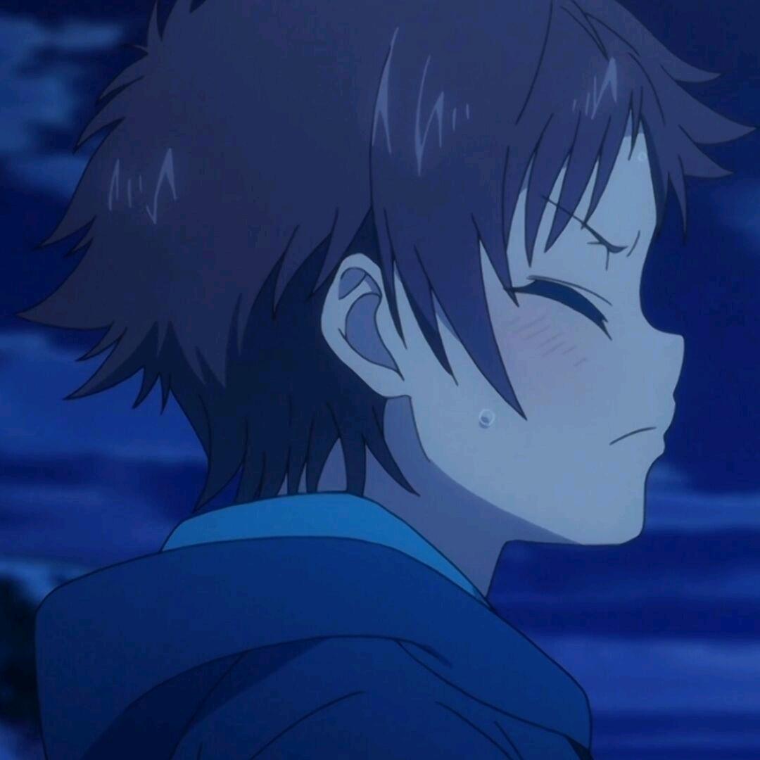 这只绵羊并不小