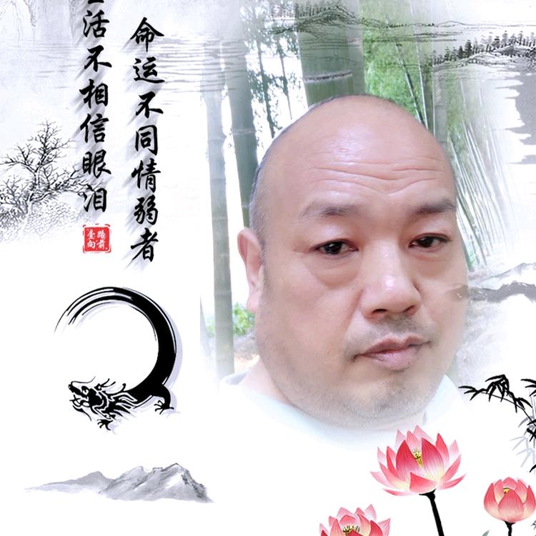 用户74415942