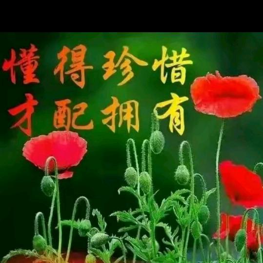 花好月圆ཨོཾ