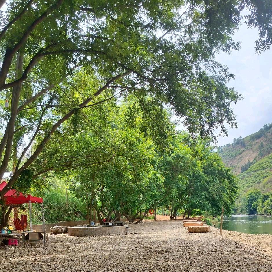 小干沟樟木箐江边营地