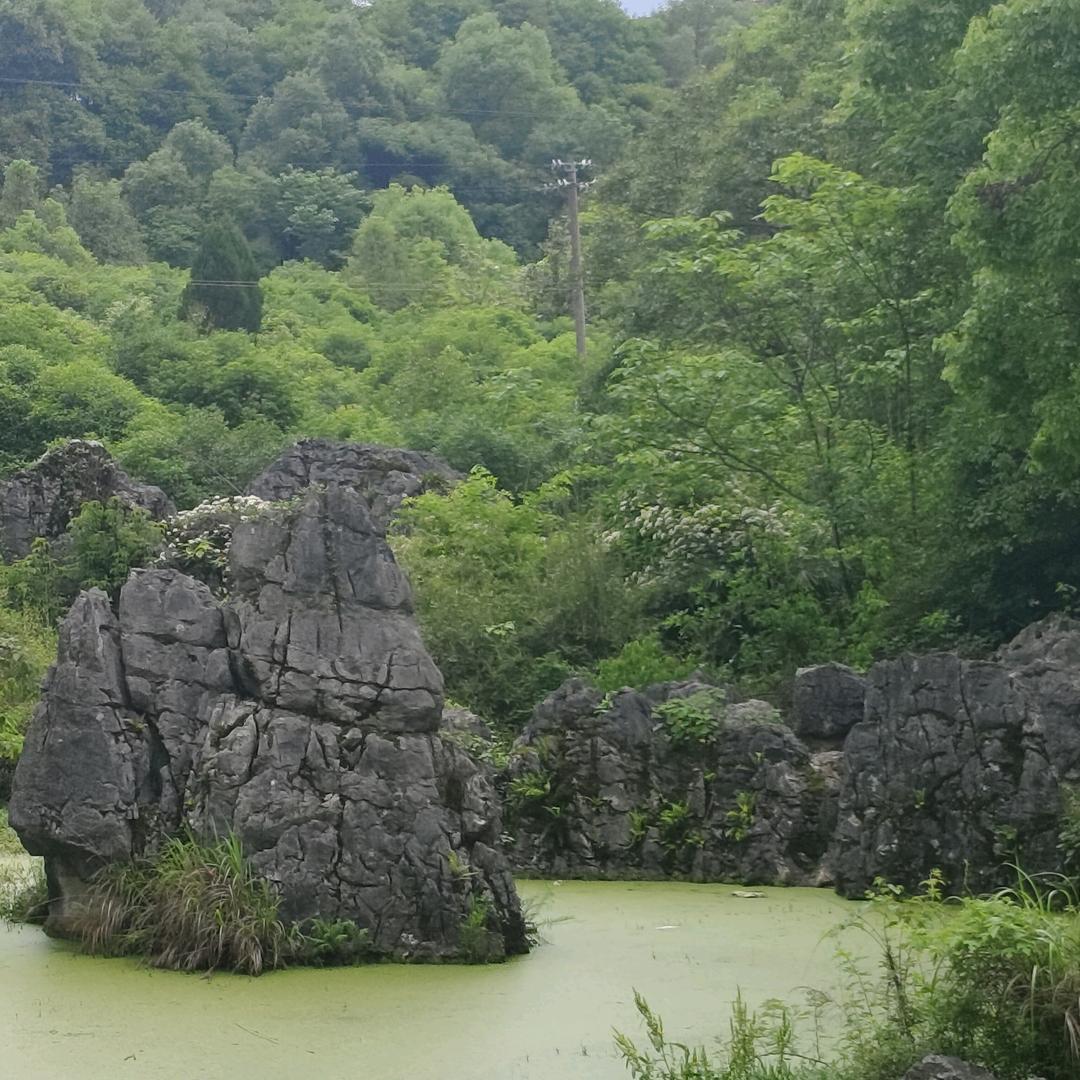 《随💐心💐所💐欲》请勿连赞