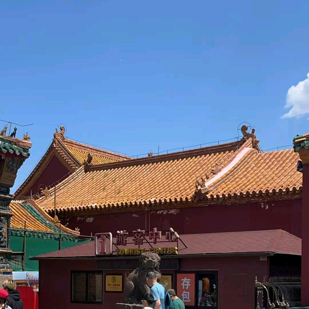沈阳故宫帅府赵一荻故居半日游若林