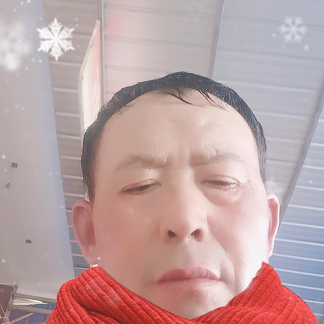 淡墨素影