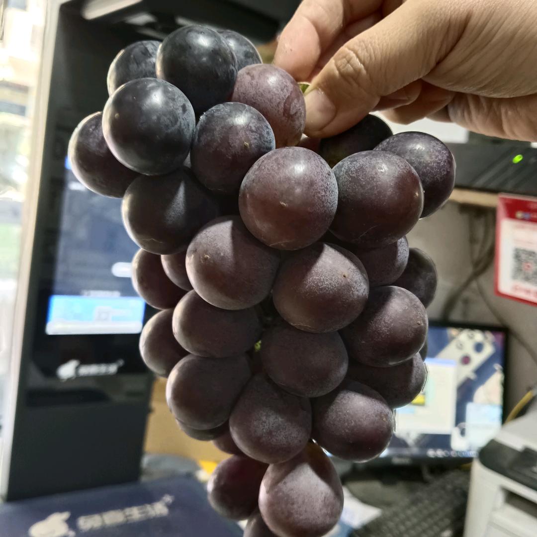 兔喜生活温泉城店