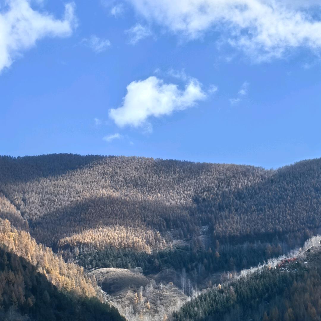 ღL