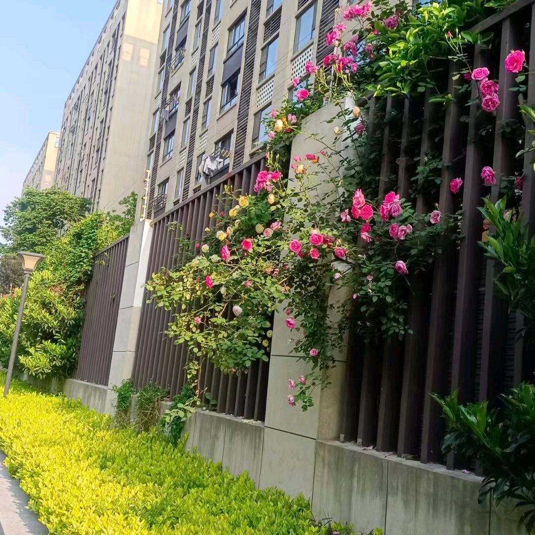 剪瘾快剪(浙北月畔里店)