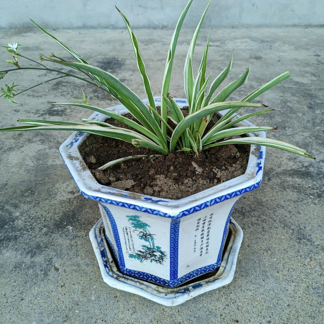 用户斌