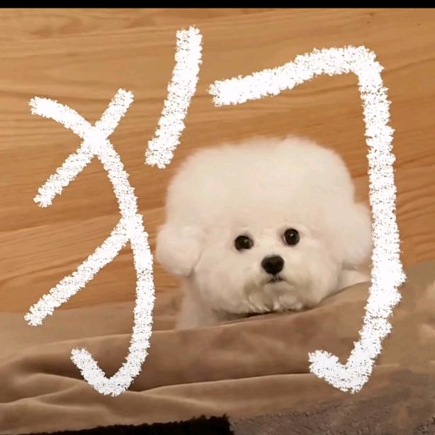 狗狗芭比