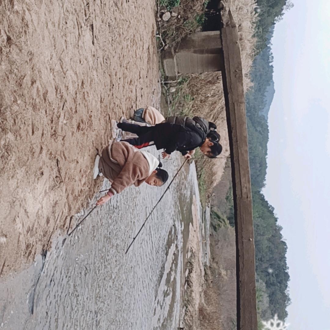 小山哥