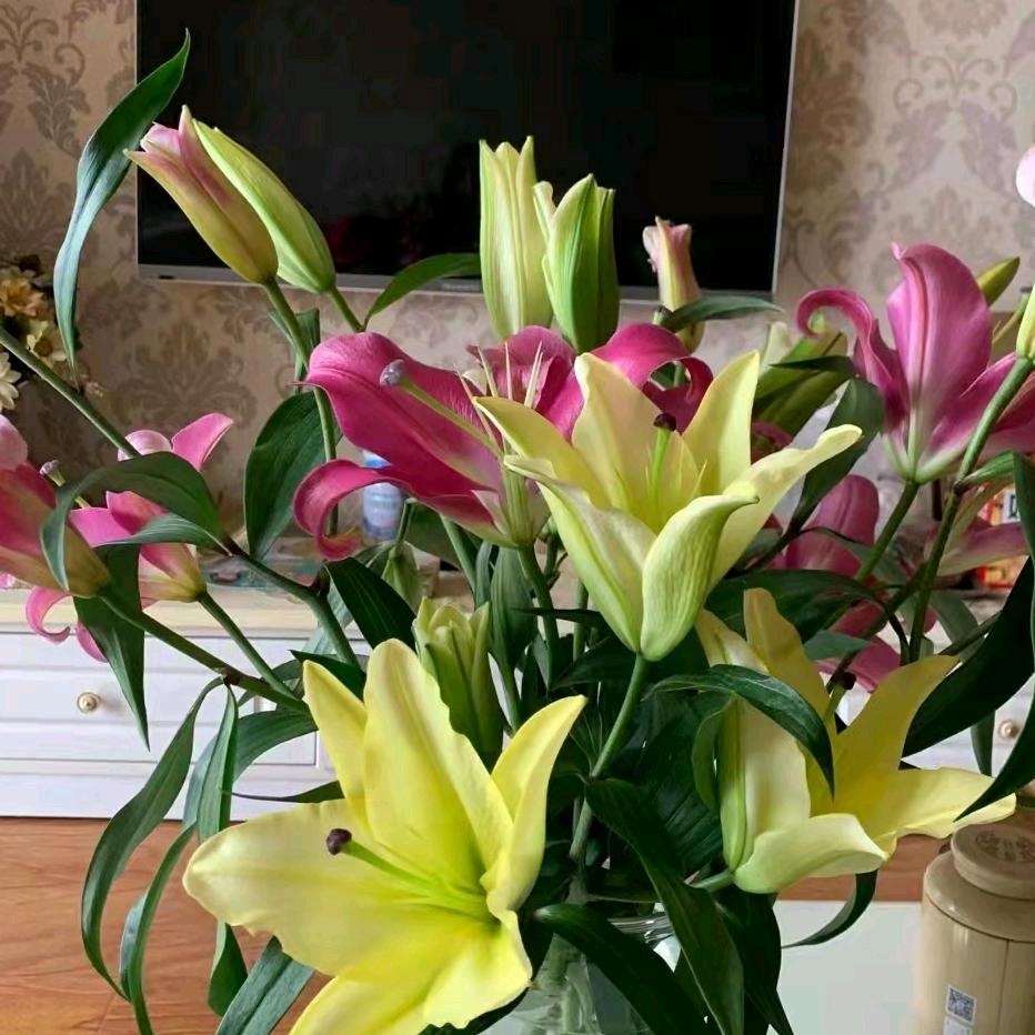 ℳঞ萍水相逢💕 ❧⁵²⁰