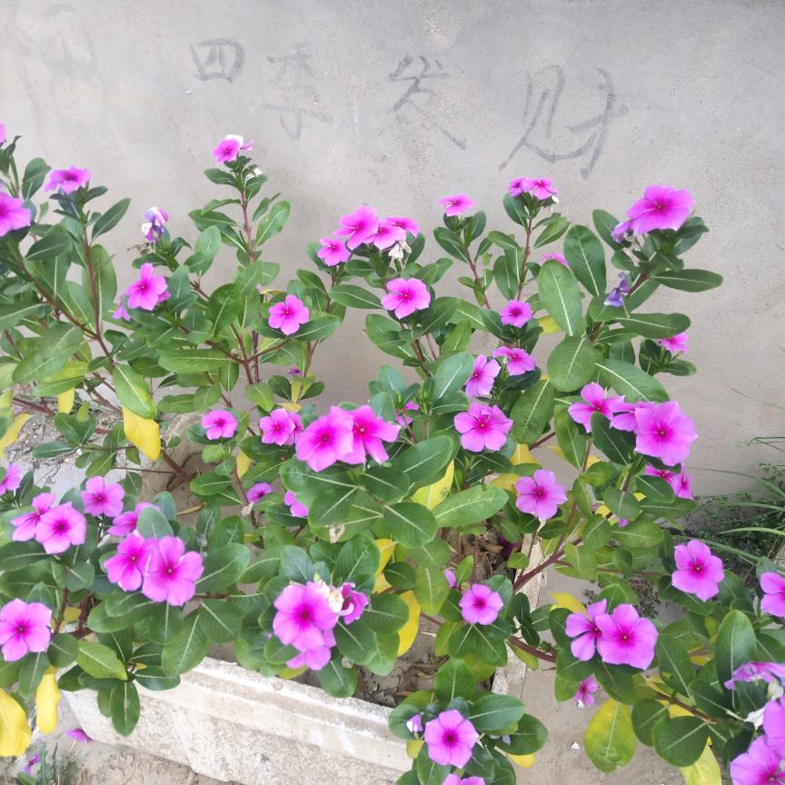 辛福快乐的一天