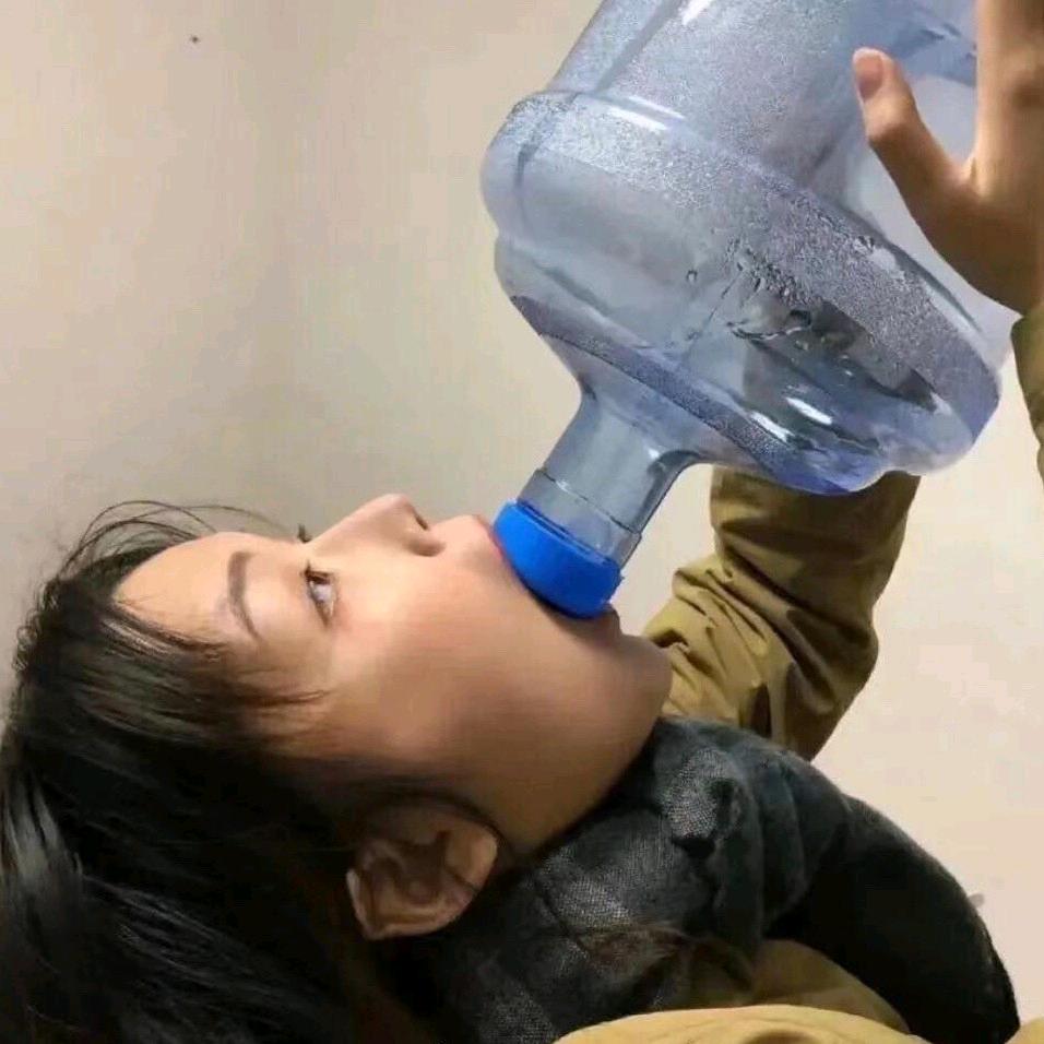 努力的菜菜(备考版)