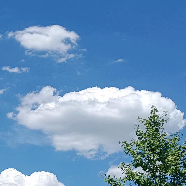 白云千载空悠悠