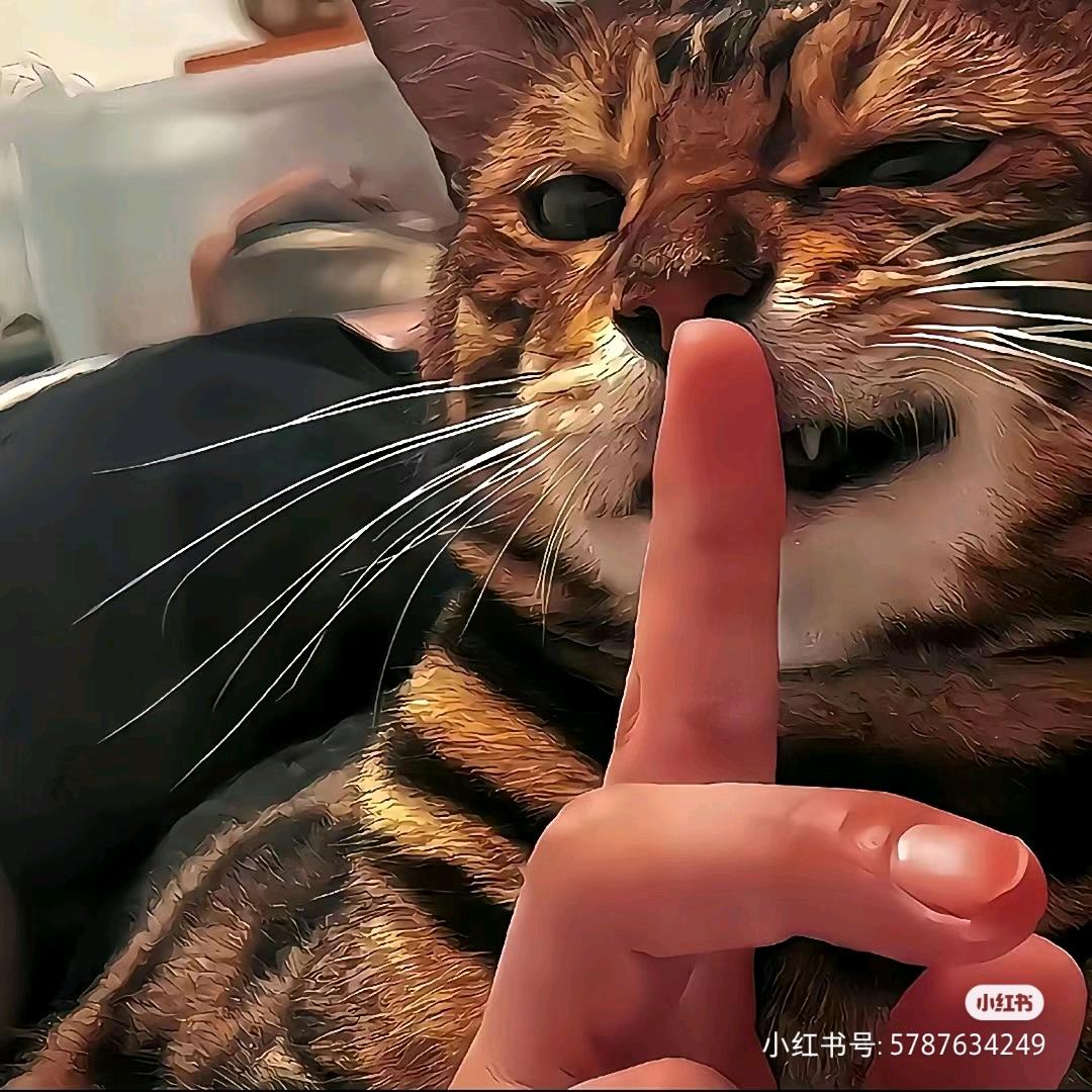 呵呵