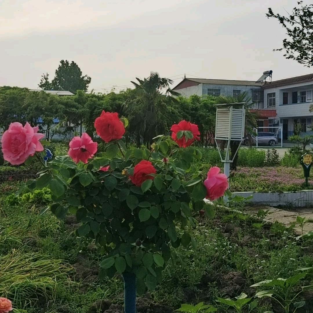 🍭🍭俩个囡囡👩‍❤️‍👩