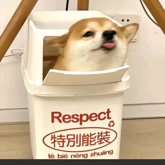 小说$