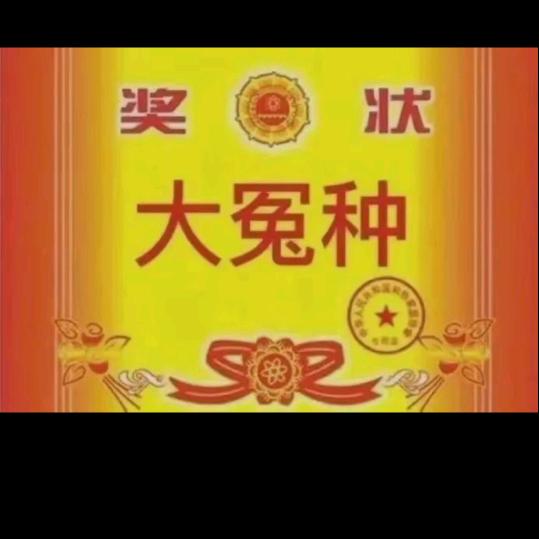 低保己到位坐等小红开播